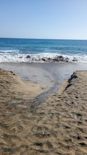 GC-Playa de Maspalomas 2026-046.jpg